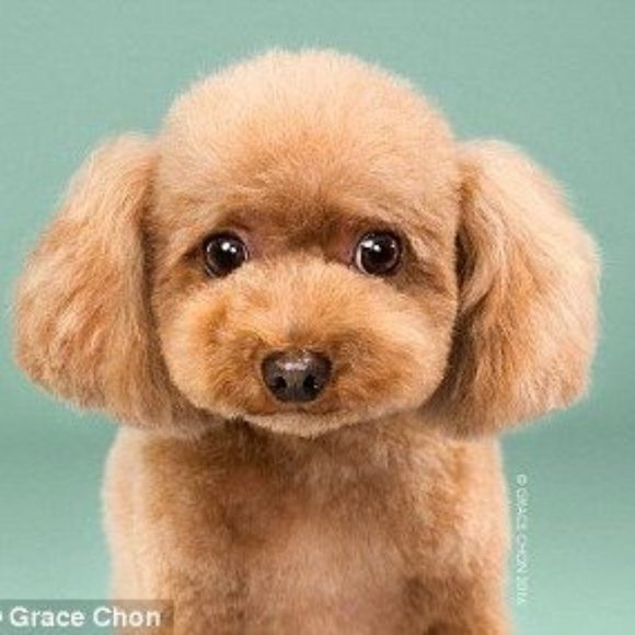 Remember: Life is never easy, but just keep soaring forward! - Picture 2 of 2